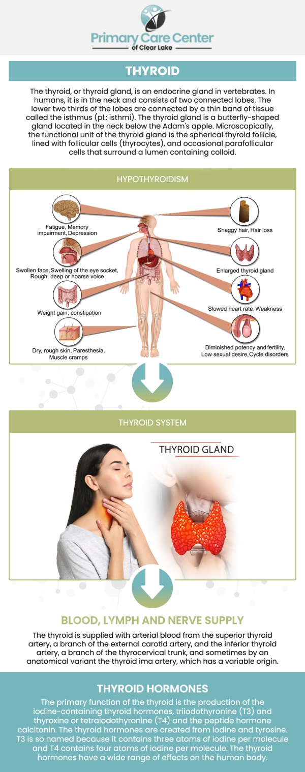 Common questions asked by patients: Why would a doctor order a thyroid scan? How long does a thyroid scan take? What are the early warning signs of thyroid problems? What is the main cause of thyroid problems? Visit Primary Care Center of Clear Lake for thyroid problems. For more information, please contact us or schedule an appointment online. We are conveniently located at 13920 Osprey Ct, Suite C, Webster, TX 77598. We serve patients from Webster TX, Bacliff TX, Dickinson TX, Seabrook TX, League City TX, Clear Lake City TX, and surrounding areas.